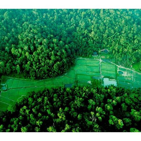 Vayal Veedu - Luxury Farm Villas By The Woods Muthanga Ngoại thất bức ảnh