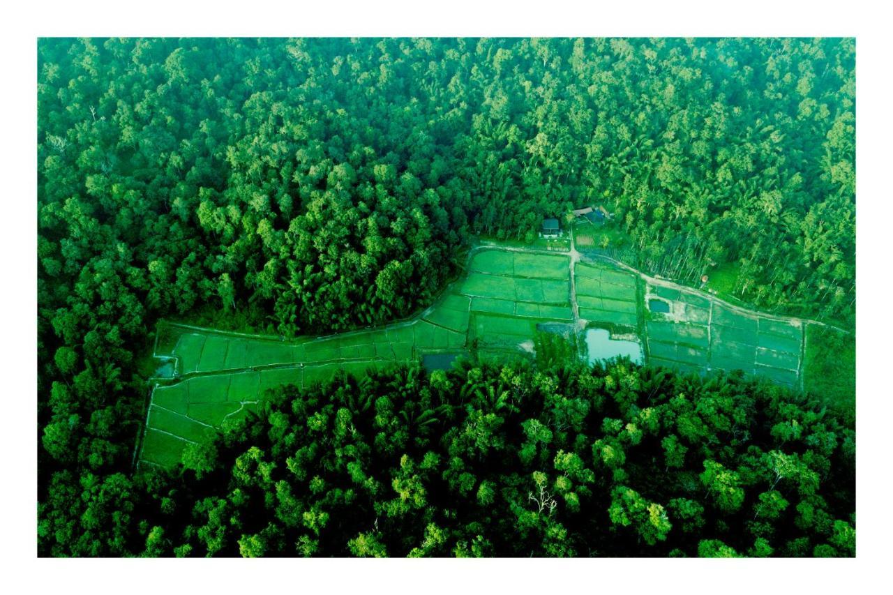 Vayal Veedu - Luxury Farm Villas By The Woods Muthanga Ngoại thất bức ảnh