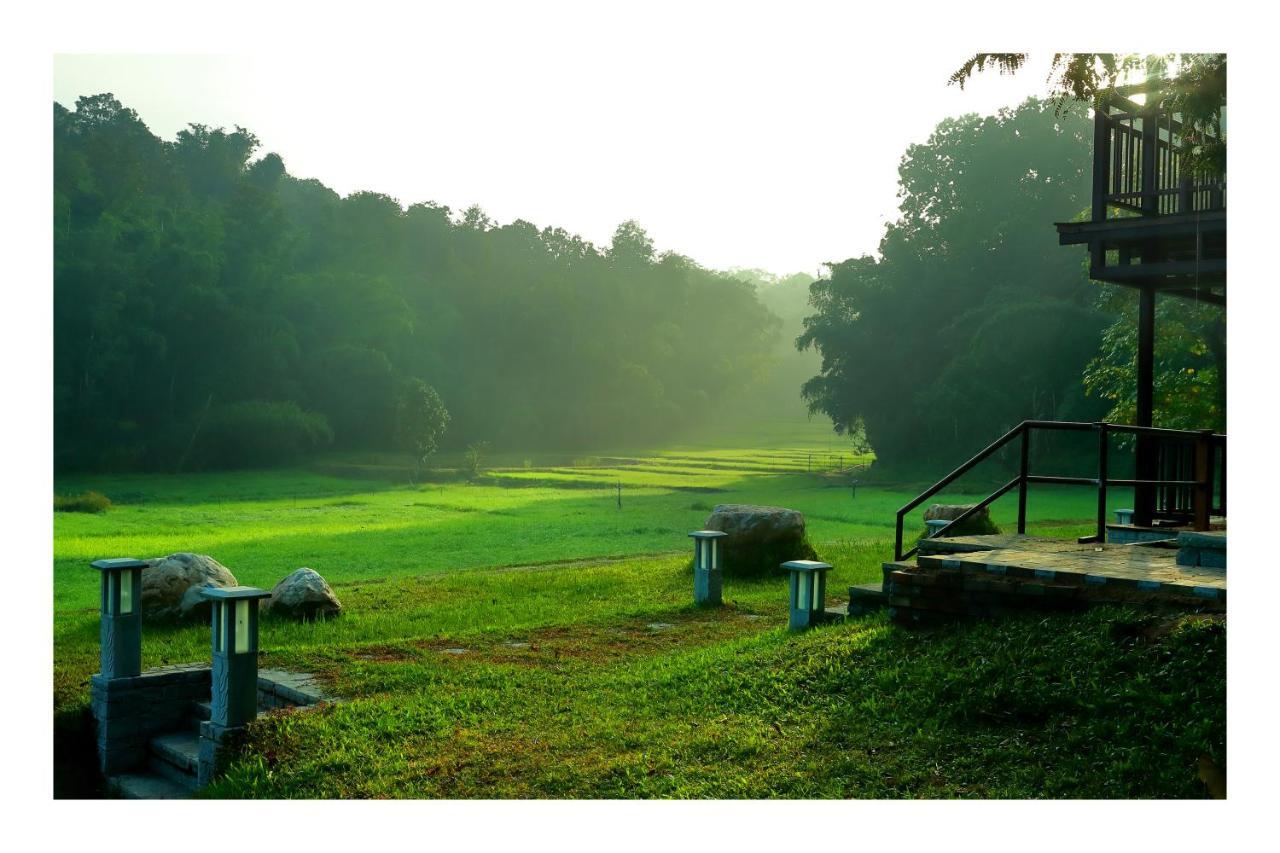 Vayal Veedu - Luxury Farm Villas By The Woods Muthanga Ngoại thất bức ảnh